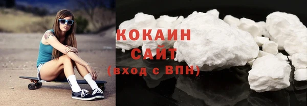 прущие грибы Беломорск