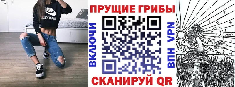 купить   Черноголовка  OMG сайт  Галлюциногенные грибы GOLDEN TEACHER 
